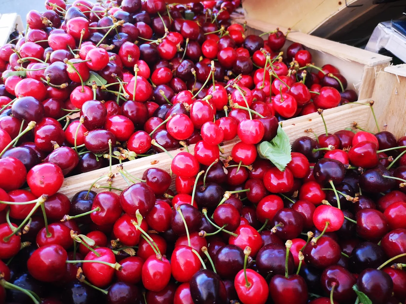 LES VERGERS D'AURIAC